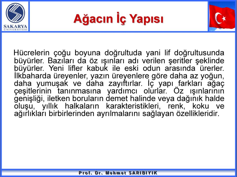 İlkbaharda üreyenler, yazın üreyenlere göre daha az yoğun, daha yumuşak ve daha zayıftırlar.