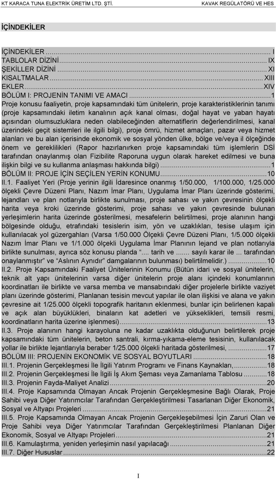 olumsuzluklara neden olabileceğinden alternatiflerin değerlendirilmesi, kanal üzerindeki geçit sistemleri ile ilgili bilgi), proje ömrü, hizmet amaçları, pazar veya hizmet alanları ve bu alan