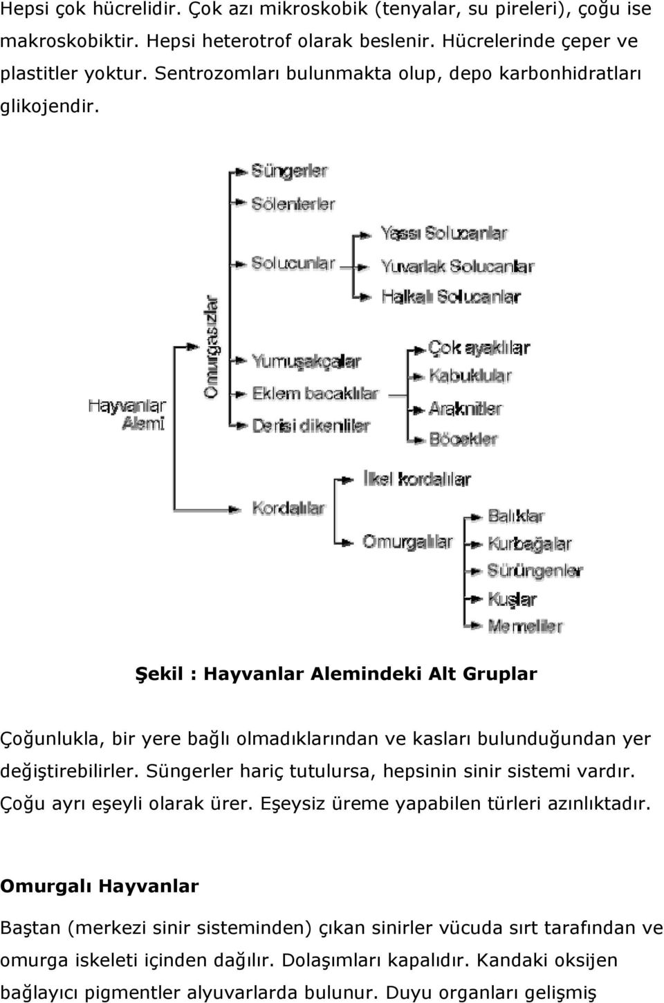 Şekil : Hayvanlar Alemindeki Alt Gruplar Çoğunlukla, bir yere bağlı olmadıklarından ve kasları bulunduğundan yer değiştirebilirler.