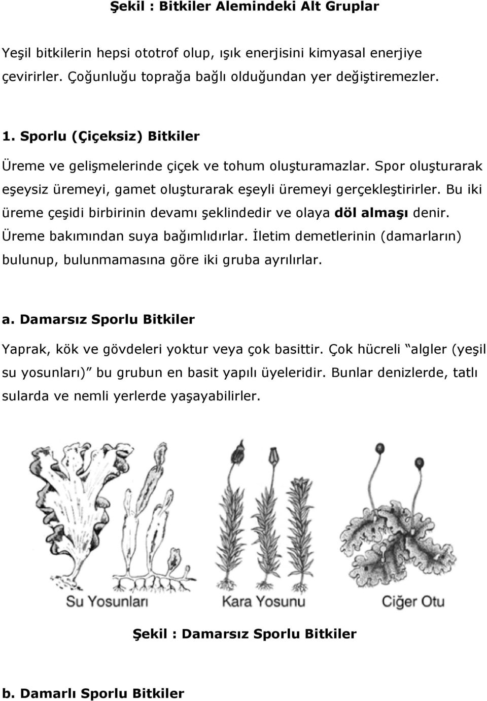 Bu iki üreme çeşidi birbirinin devamı şeklindedir ve olaya döl almaşı denir. Üreme bakımından suya bağımlıdırlar. İletim demetlerinin (damarların) bulunup, bulunmamasına göre iki gruba ayrılırlar. a. Damarsız Sporlu Bitkiler Yaprak, kök ve gövdeleri yoktur veya çok basittir.