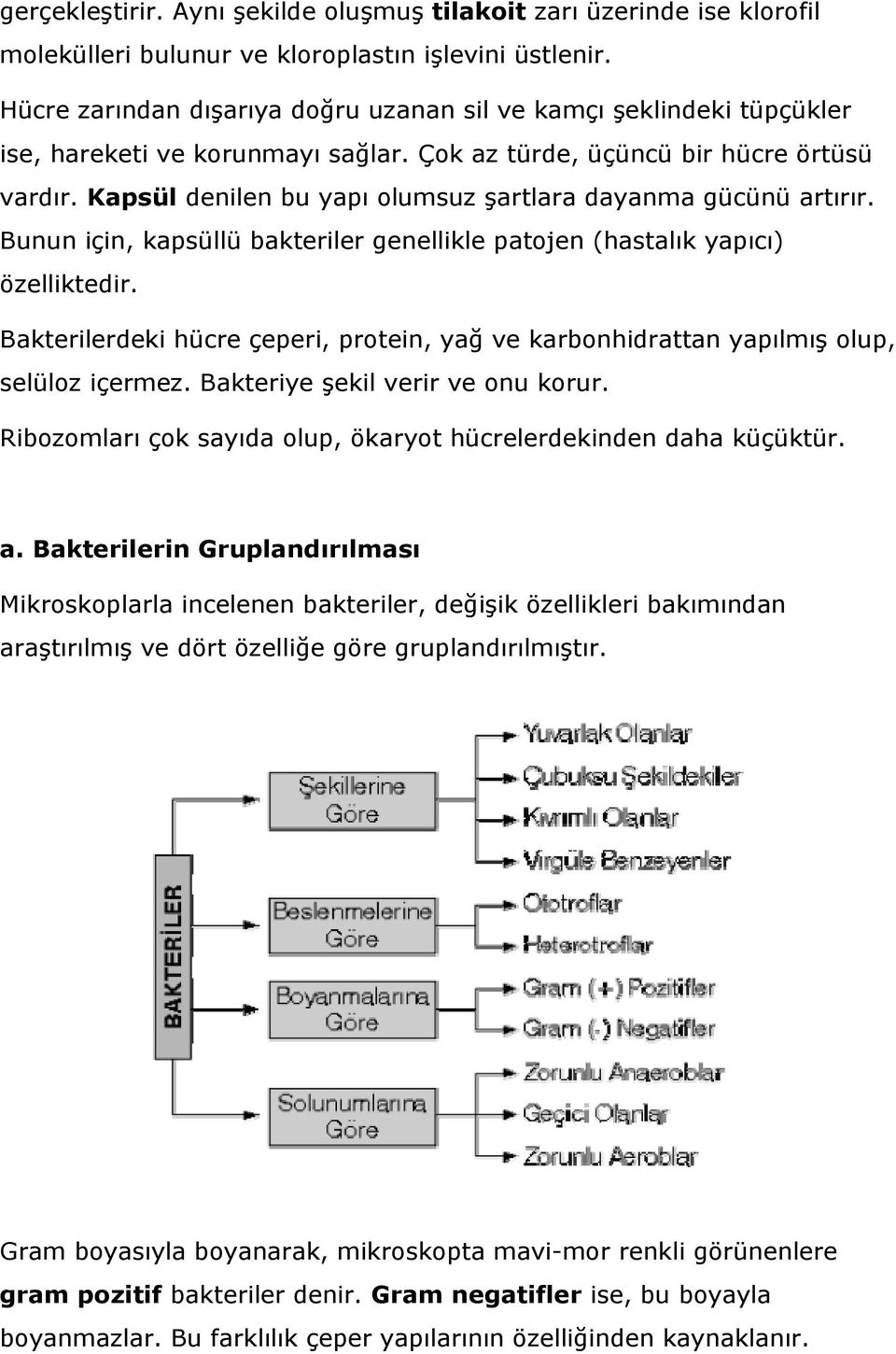 Kapsül denilen bu yapı olumsuz şartlara dayanma gücünü artırır. Bunun için, kapsüllü bakteriler genellikle patojen (hastalık yapıcı) özelliktedir.