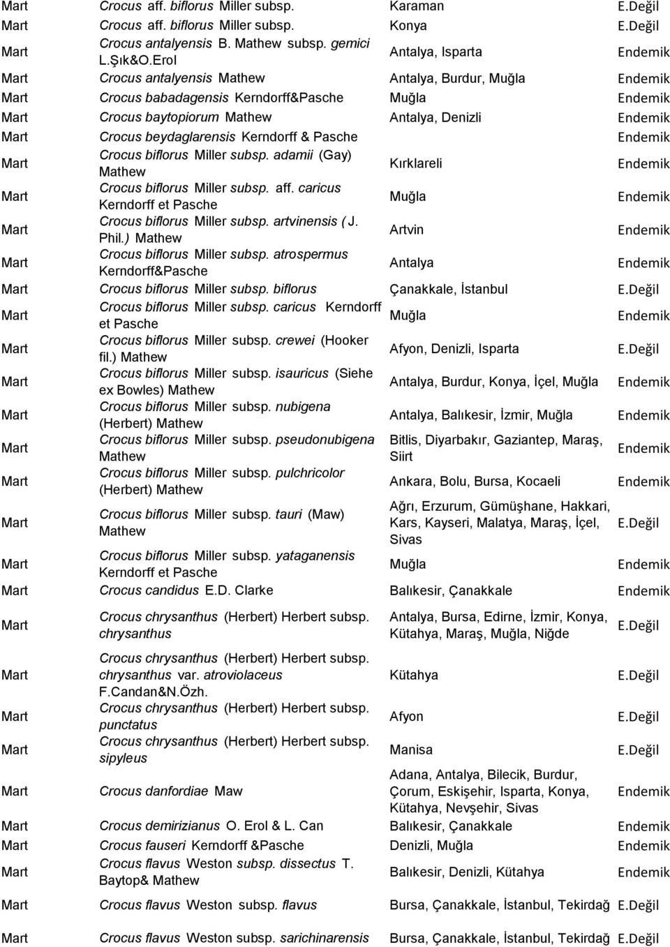 biflorus Miller subsp. adamii (Gay) Mathew Kırklareli Crocus biflorus Miller subsp. aff. caricus Kerndorff et Pasche Crocus biflorus Miller subsp. artvinensis ( J. Phil.
