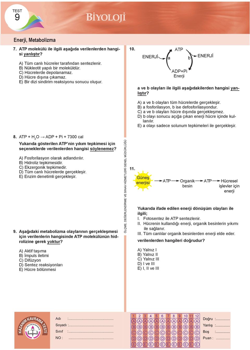 A) a ve b olayları tüm hücrelerde gerçekleşir. B) a fosforilasyon, b ise defosforilasyondur. C) a ve b olayları hücre dışında gerçekleşmez.