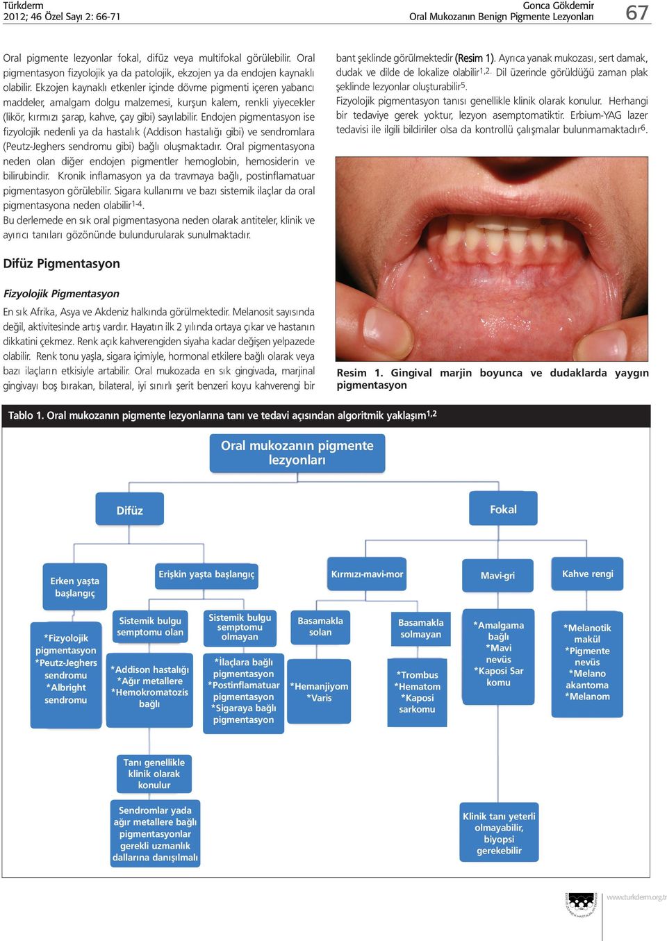 Ekzojen kaynaklı etkenler içinde dövme pigmenti içeren yabancı maddeler, amalgam dolgu malzemesi, kurşun kalem, renkli yiyecekler (likör, kırmızı şarap, kahve, çay gibi) sayılabilir.