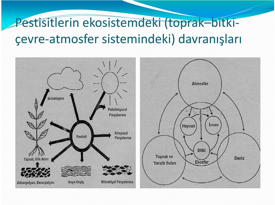 (toprak bitkiçevre