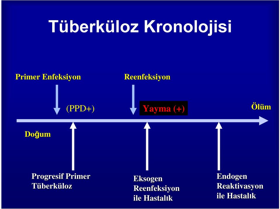 Progresif Primer Tüberküloz Eksogen