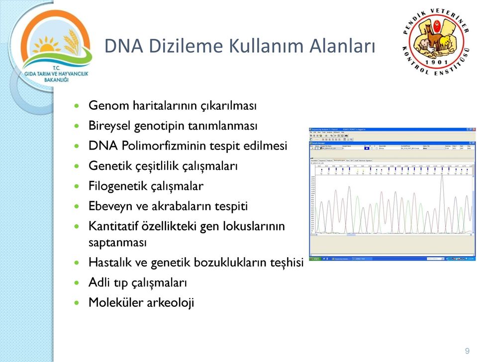 Filogenetik çalışmalar Ebeveyn ve akrabaların tespiti Kantitatif özellikteki gen