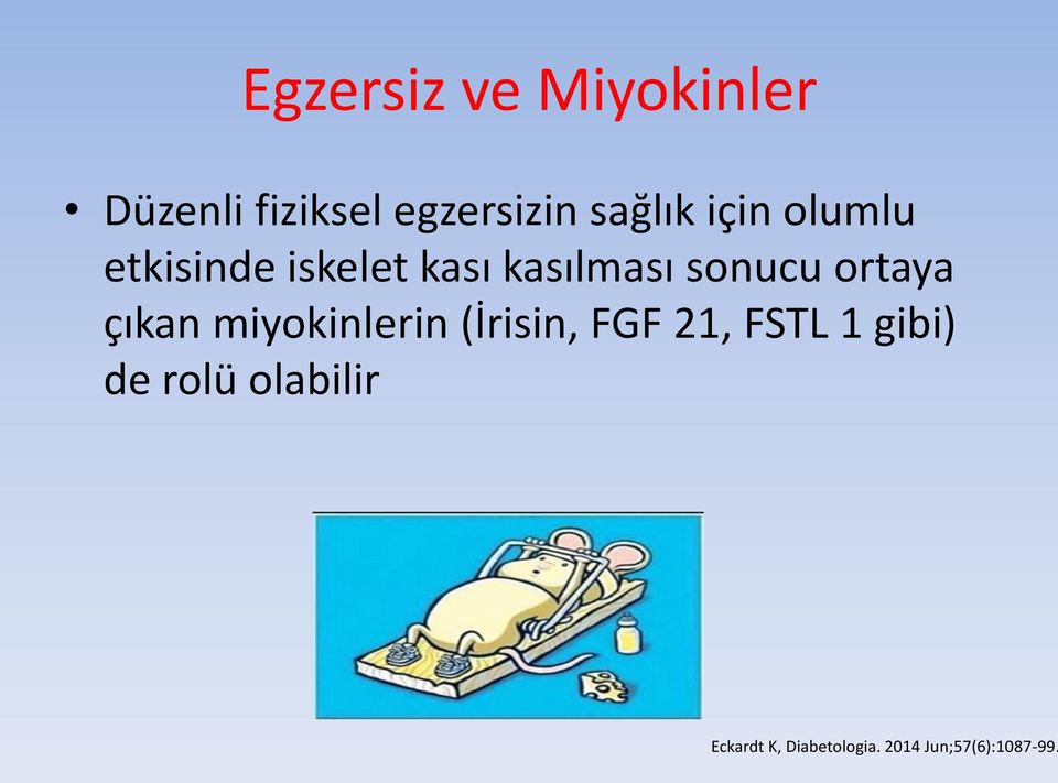 ortaya çıkan miyokinlerin (İrisin, FGF 21, FSTL 1 gibi)