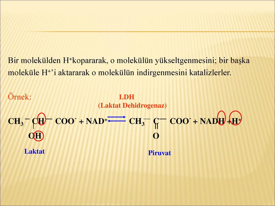 molekülün indirgenmesini katalizlerler.