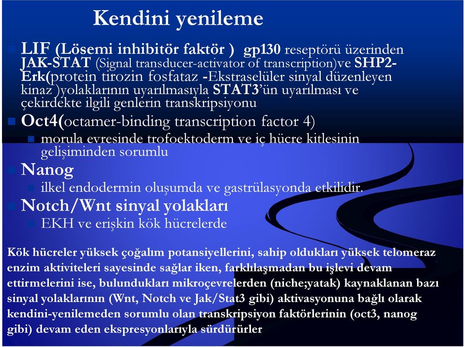 gelişiminden sorumlu Nanog ilkel endodermin oluşumda ve gastrülasyonda etkilidir.