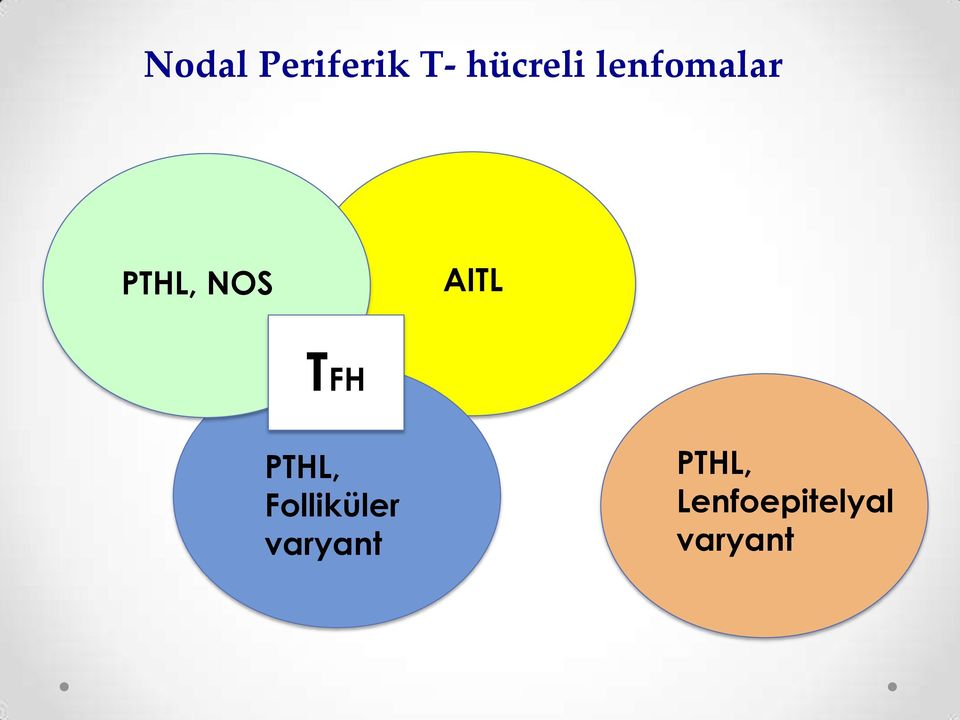 TFH PTHL, Folliküler