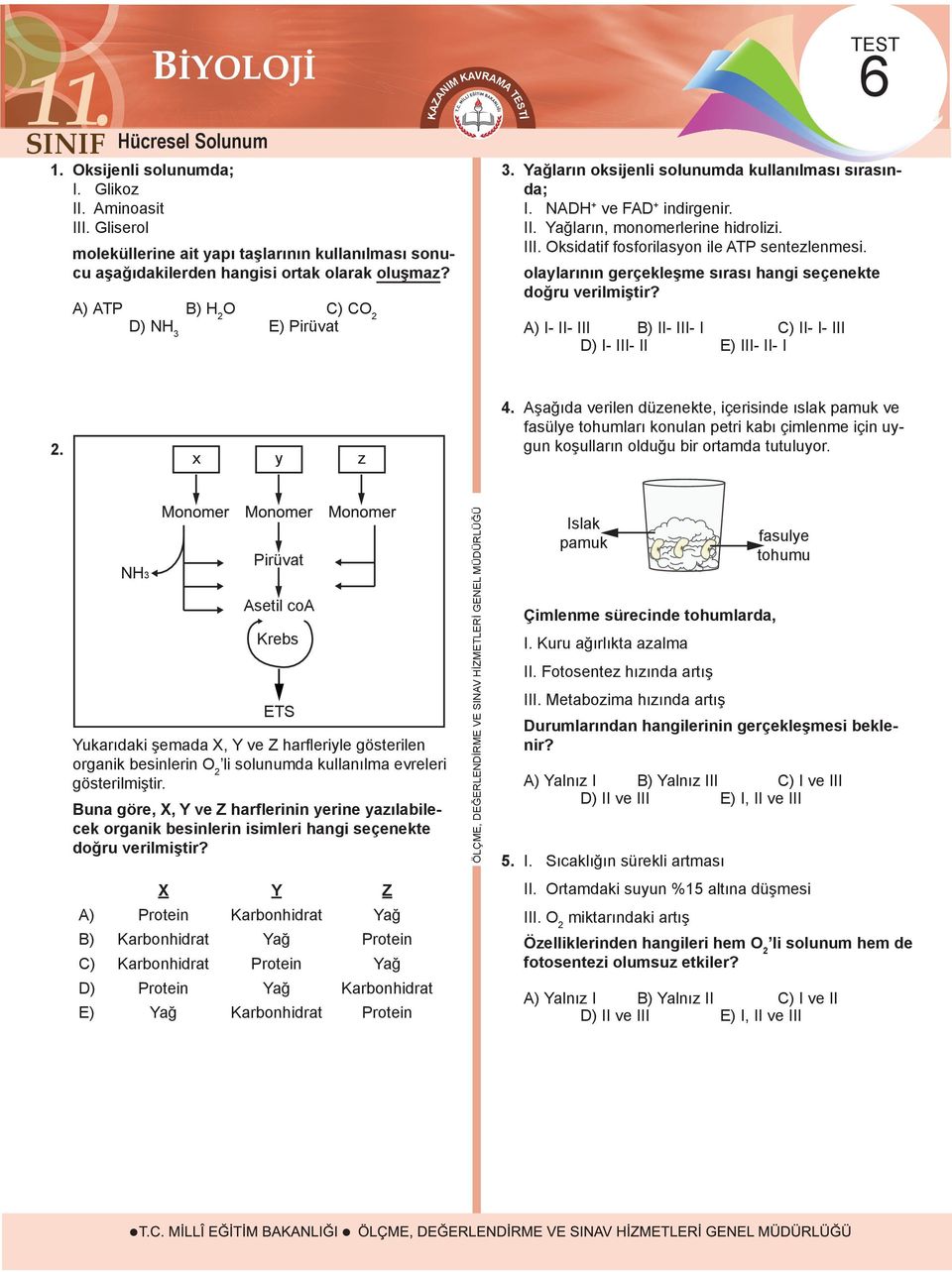 . Oksidatif fosforilasyon ile ATP sentezlenmesi. olaylarının gerçekleşme sırası hangi seçenekte doğru verilmiştir? A) - - B) - - C) - - D) - - E) - - 2. x y z 4.