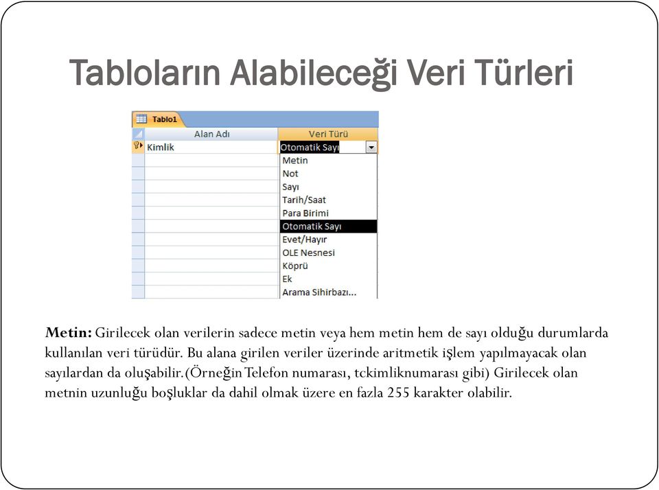 Bu alana girilen veriler üzerinde aritmetik işlem yapılmayacak olan sayılardan da oluşabilir.