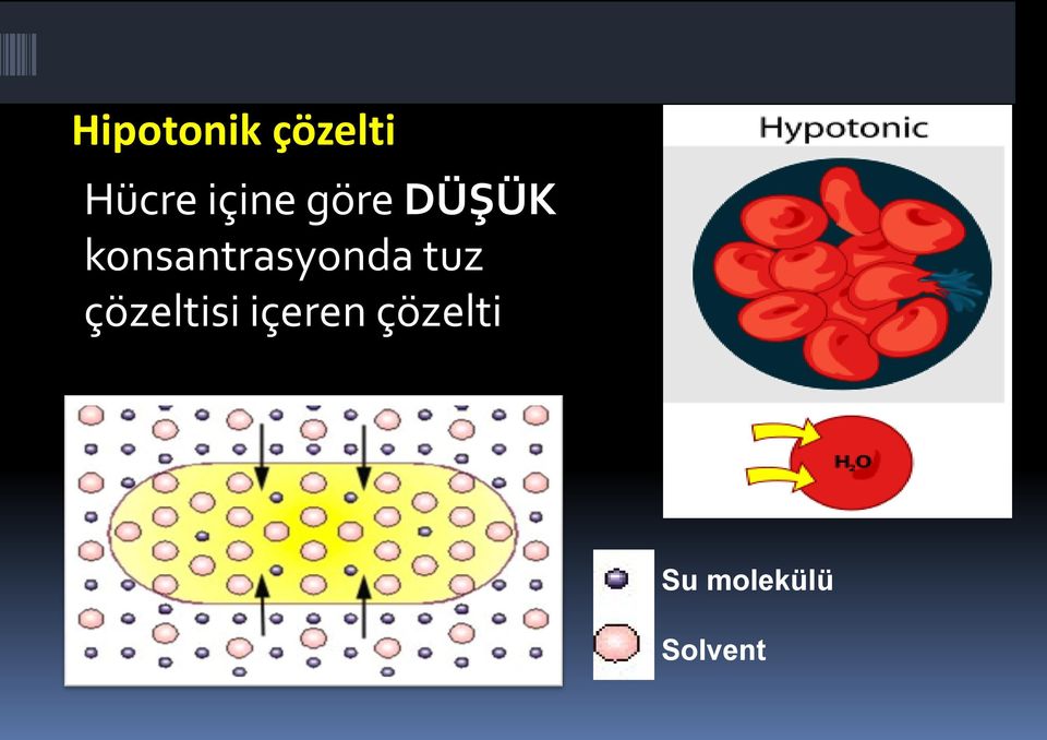 konsantrasyonda tuz