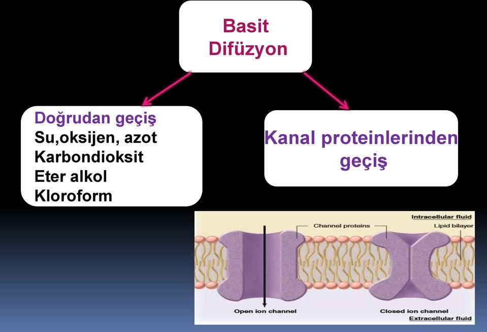 Karbondioksit Eter alkol