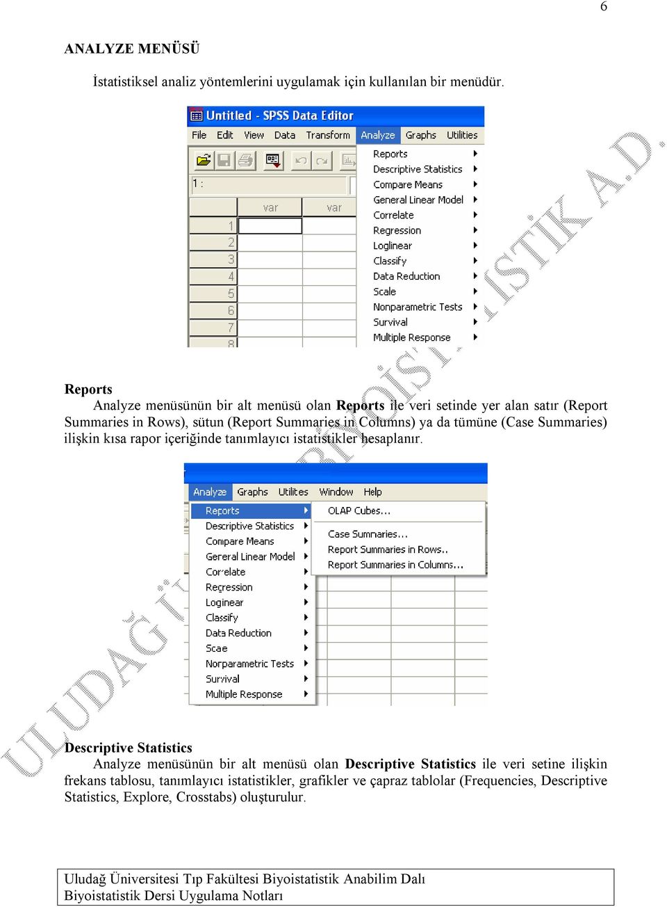 Columns) ya da tümüne (Case Summaries) ilişkin kısa rapor içeriğinde tanımlayıcı istatistikler hesaplanır.