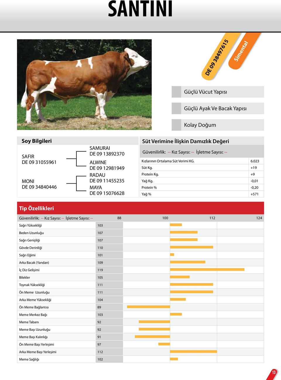 -0,01 Protein % -0,20 Yağ % +571 Güvenilirlik: -- Kız Sayısı: -- İşletme Sayısı: -- 88 100 112 124 Sağrı Yüksekliği 103 Beden Uzunluğu 107 Sağrı Genişliği 107 Gövde Derinliği 110 Sağrı Eğimi 101 Arka