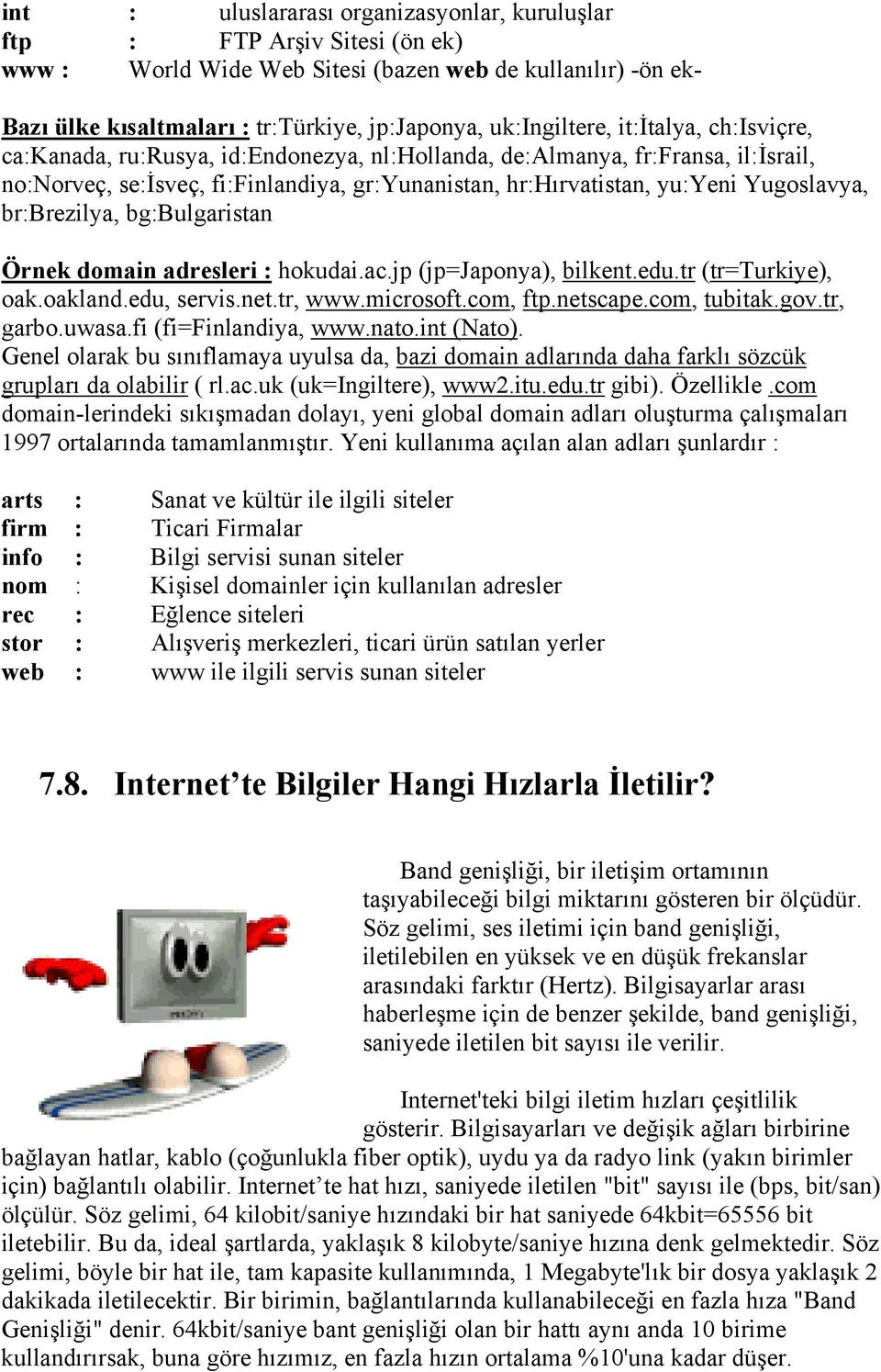 Yugoslavya, br:brezilya, bg:bulgaristan Örnek domain adresleri : hokudai.ac.jp (jp=japonya), bilkent.edu.tr (tr=turkiye), oak.oakland.edu, servis.net.tr, www.microsoft.com, ftp.netscape.com, tubitak.