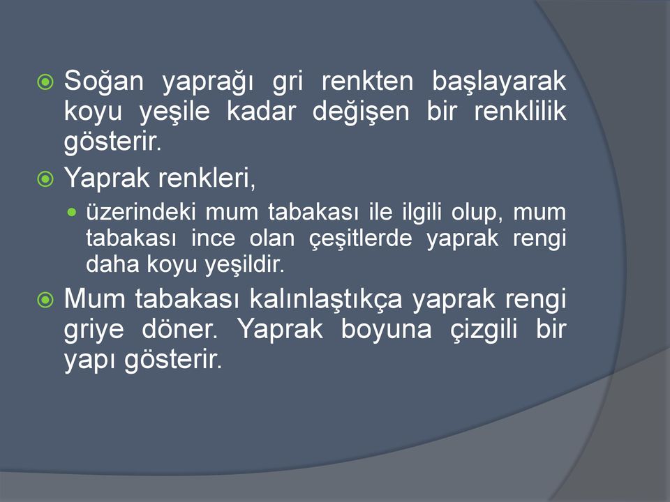 Yaprak renkleri, üzerindeki mum tabakası ile ilgili olup, mum tabakası ince