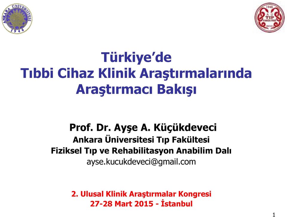 Küçükdeveci Ankara Üniversitesi Tıp Fakültesi Fiziksel Tıp ve