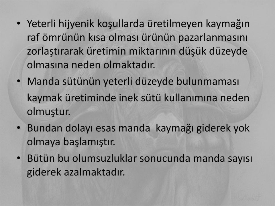 Manda sütünün yeterli düzeyde bulunmaması kaymak üretiminde inek sütü kullanımına neden olmuştur.