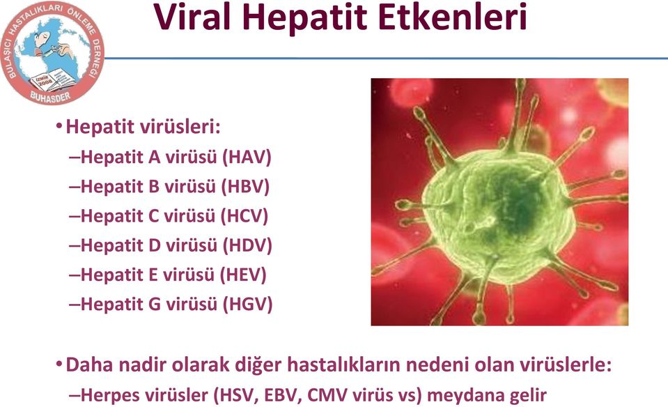 virüsü (HEV) Hepatit G virüsü (HGV) Daha nadir olarak diğer hastalıkların