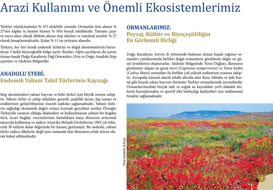 Türkiye, her biri kendi endemik türlerini ve doğal ekosistemlerini barındıran 3 farklı biyocoğrafik bölge içerir.
