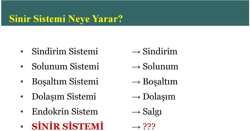 Solunum Boşaltım Sistemi Boşaltım Dolaşım