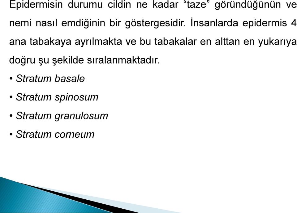 İnsanlarda epidermis 4 ana tabakaya ayrılmakta ve bu tabakalar en