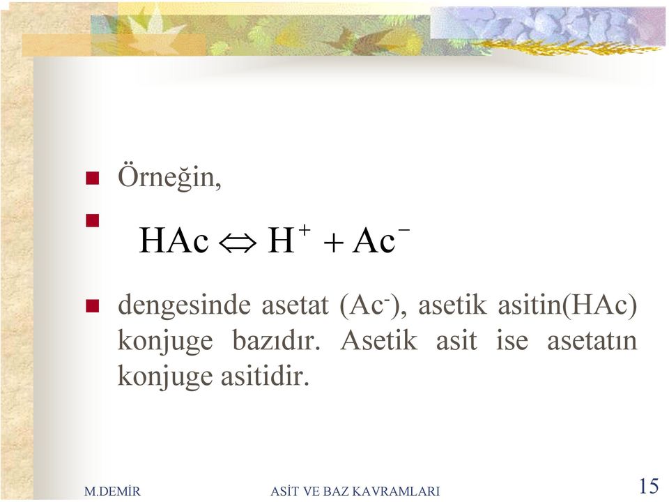 (Ac ), asetik asitin(hac) konjuge