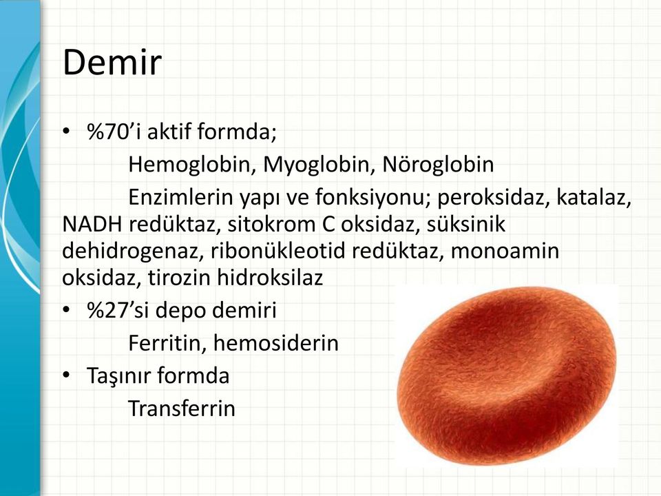 oksidaz, süksinik dehidrogenaz, ribonükleotid redüktaz, monoamin oksidaz,