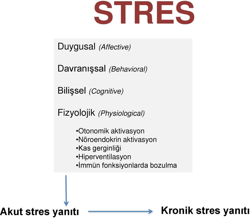 Nöroendokrin aktivasyon Kas gerginliği Hiperventilasyon