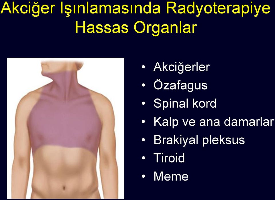 Akciğerler Özafagus Spinal kord