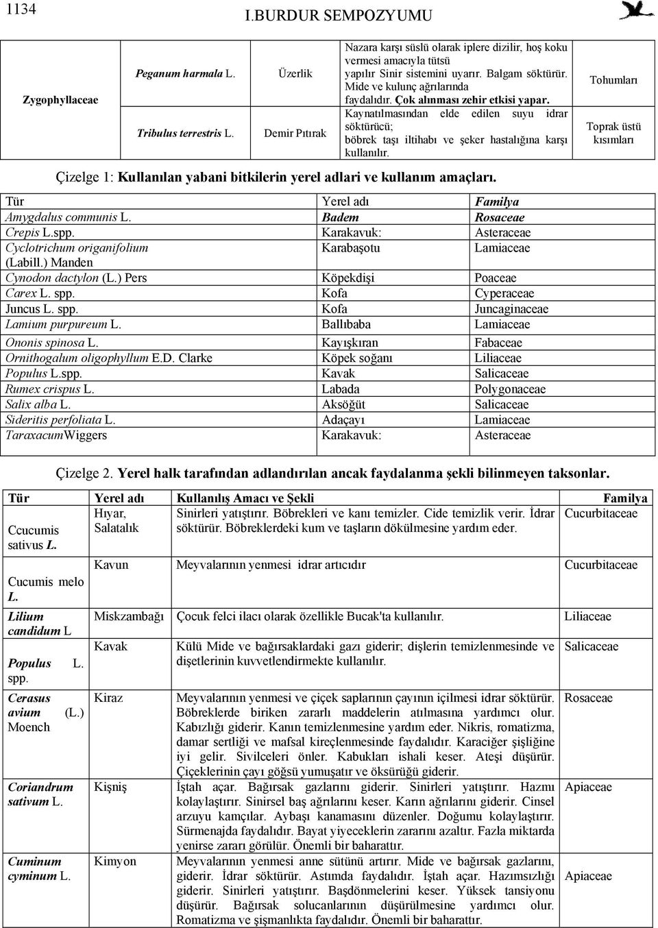 Çok Kaynatılmasından elde edilen suyu idrar söktürücü; böbrek taşı iltihabı ve şeker hastalığına karşı kullanılır. Çizelge 1: Kullanılan yabani bitkilerin yerel adlari ve kullanım amaçları.