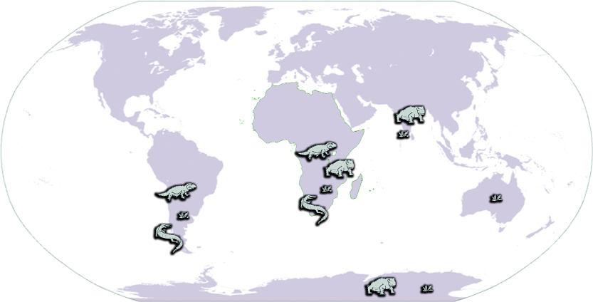 Pangea'nın varlığını doğrulayan kanıtlara,