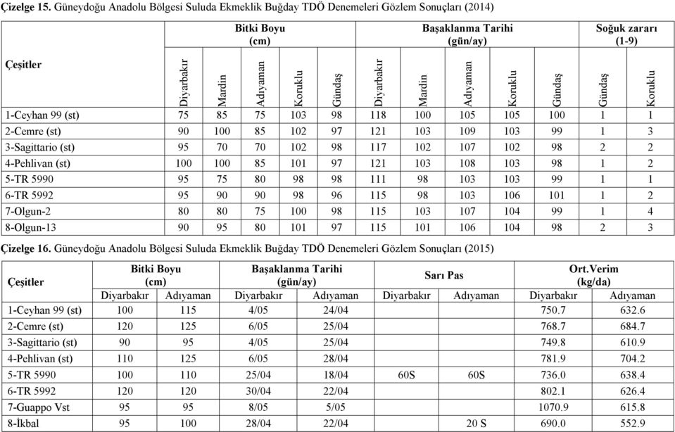 Verim Sarı Pas (cm) (gün/ay) (kg/da) Diyarbakır Adıyaman Diyarbakır Adıyaman Diyarbakır Adıyaman Diyarbakır Adıyaman 1-Ceyhan 99 (st) 100 115 4/05 24/04 750.7 632.