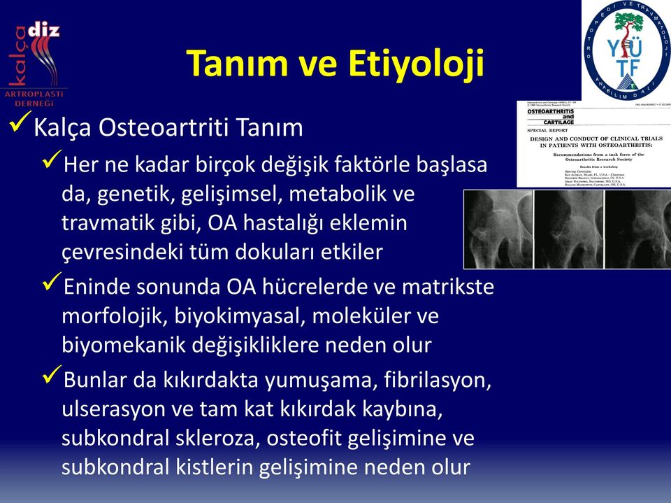 matrikste morfolojik, biyokimyasal, moleküler ve biyomekanik değişikliklere neden olur Bunlar da kıkırdakta yumuşama,