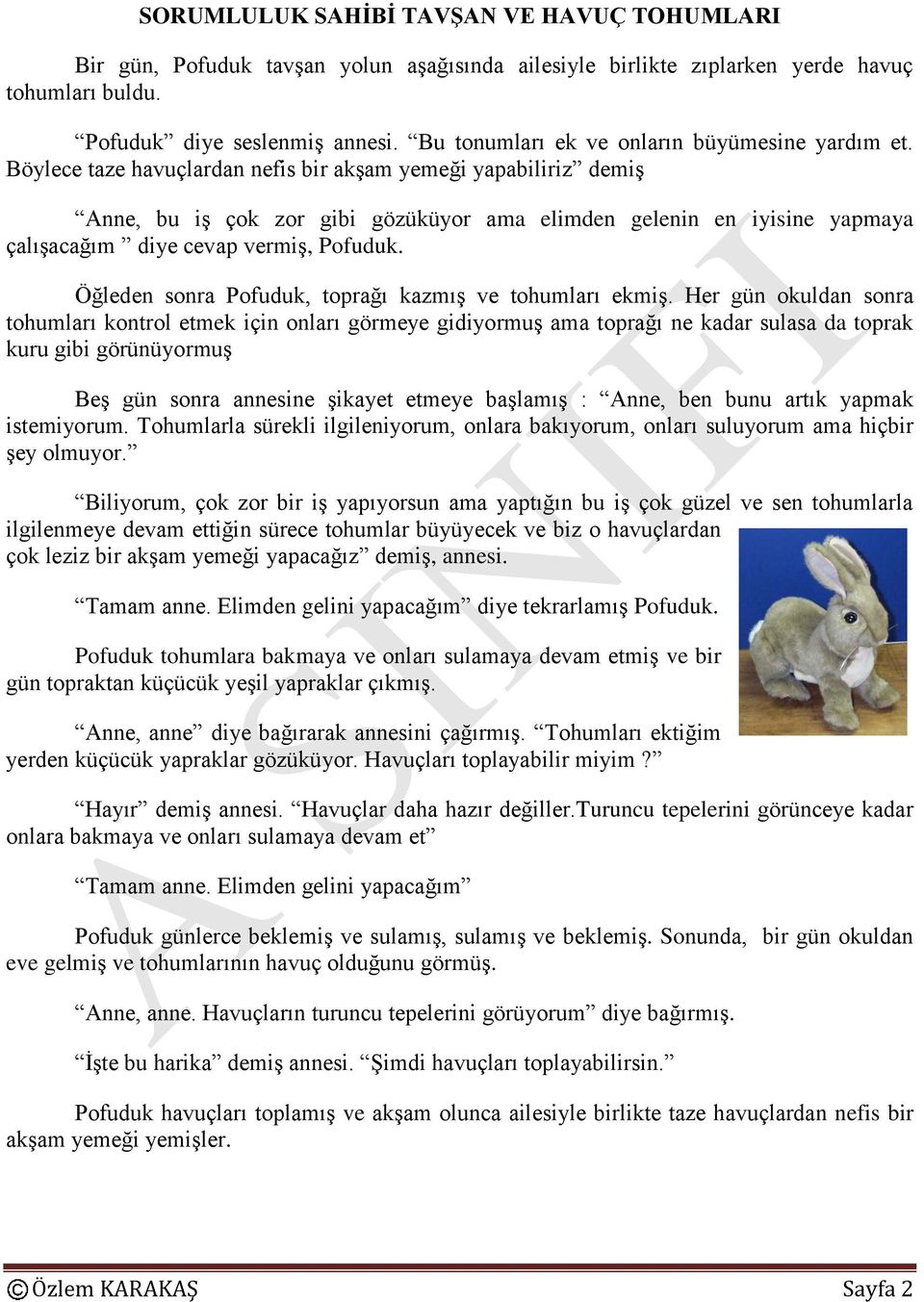 Böylece taze havuçlardan nefis bir akşam yemeği yapabiliriz demiş Anne, bu iş çok zor gibi gözüküyor ama elimden gelenin en iyisine yapmaya çalışacağım diye cevap vermiş, Pofuduk.