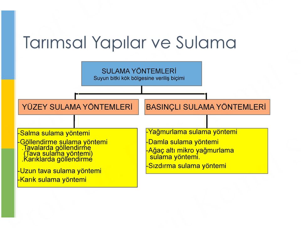 tavalarda göllendirme (Tava sulama yöntemi).