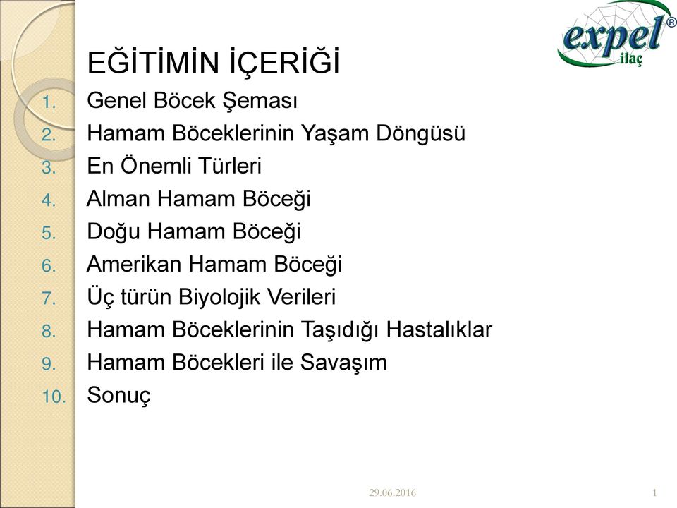 Alman Hamam Böceği 5. Doğu Hamam Böceği 6. Amerikan Hamam Böceği 7.