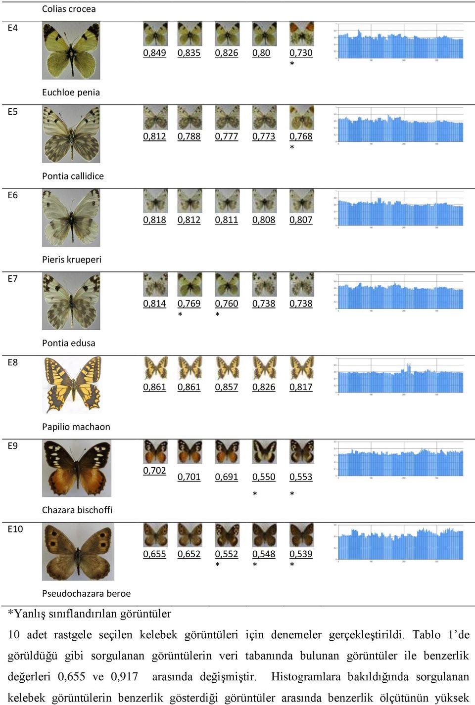 sınıflandırılan görüntüler 0 adet rastgele seçilen kelebek görüntüleri için denemeler gerçekleştirildi.