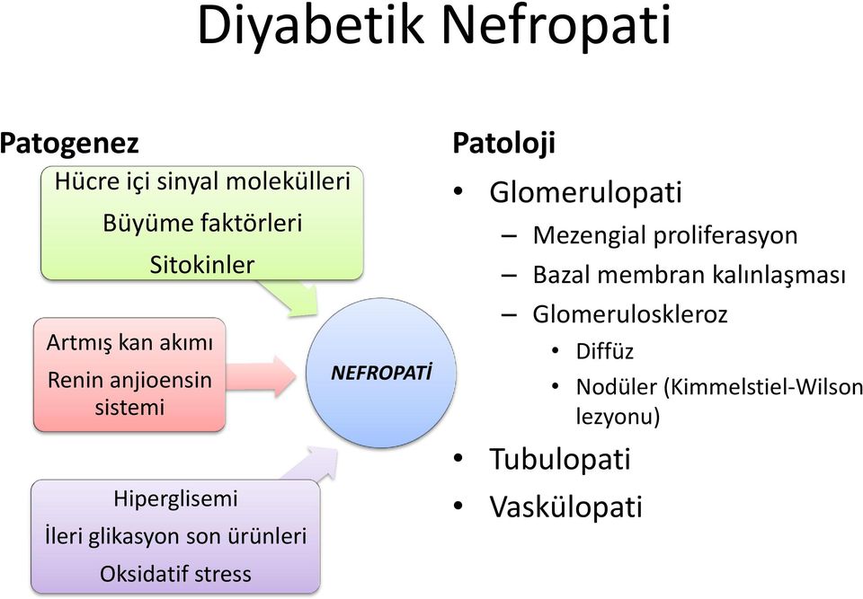 Oksidatif stress NEFROPATİ Patoloji Glomerulopati Mezengial proliferasyon Bazal membran