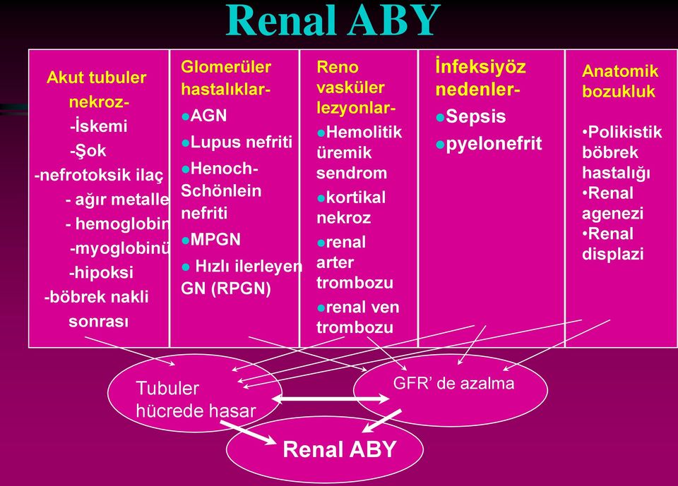 Hemolitik üremik sendrom kortikal nekroz renal arter trombozu renal ven trombozu vasküler lezyonlar- İnfeksiyöz nedenler-