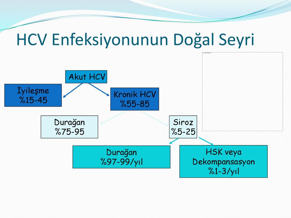 %55-85 Durağan %75-95 Siroz %5-25