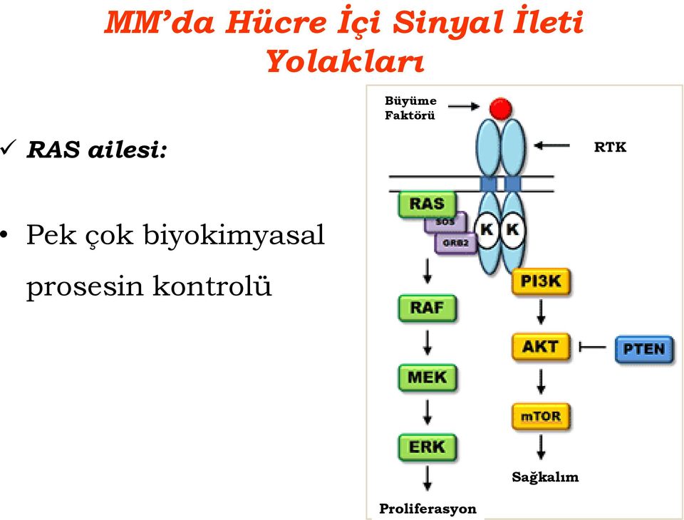 Faktörü RTK Pek çok biyokimyasal