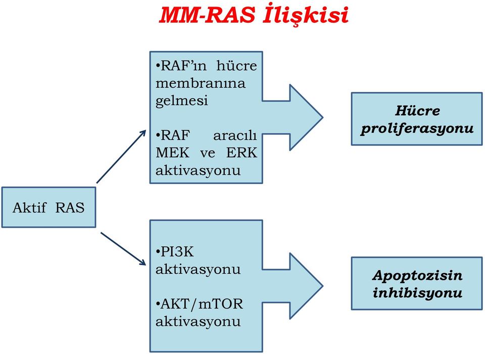 Hücre proliferasyonu Aktif RAS PI3K