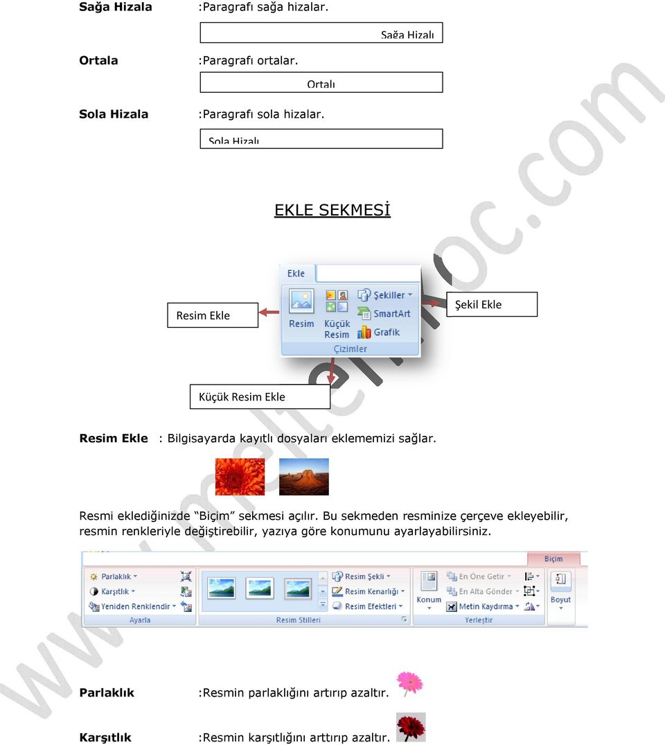 Resmi eklediğinizde Biçim sekmesi açılır.