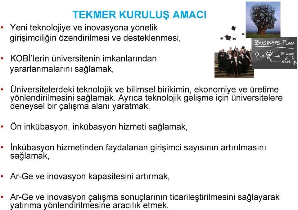 Ayrıca teknolojik gelişme için üniversitelere deneysel bir çalışma alanı yaratmak, Ön inkübasyon, inkübasyon hizmeti sağlamak, İnkübasyon hizmetinden