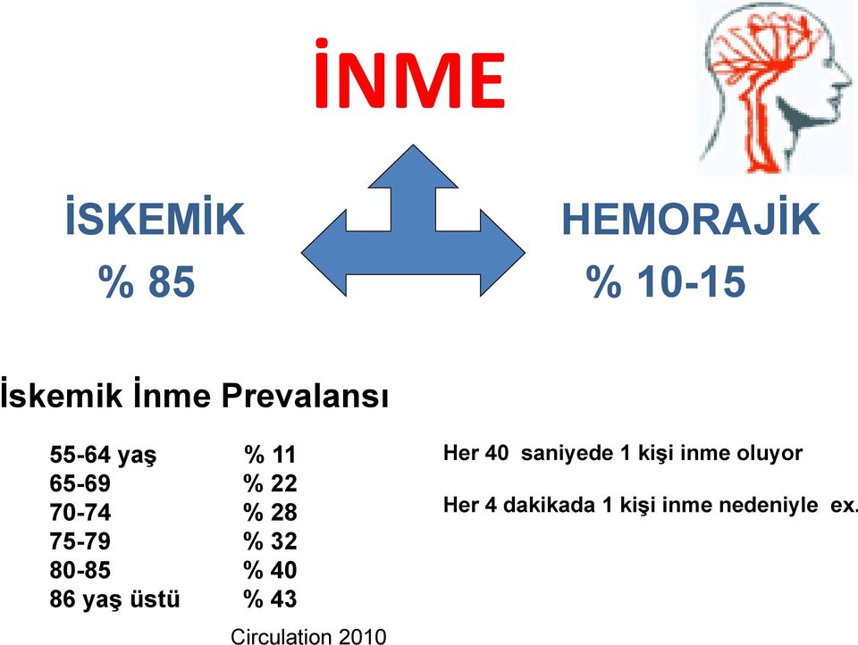 32 80-85 % 40 86 yaş üstü % 43 Circulation 2010 Her 40