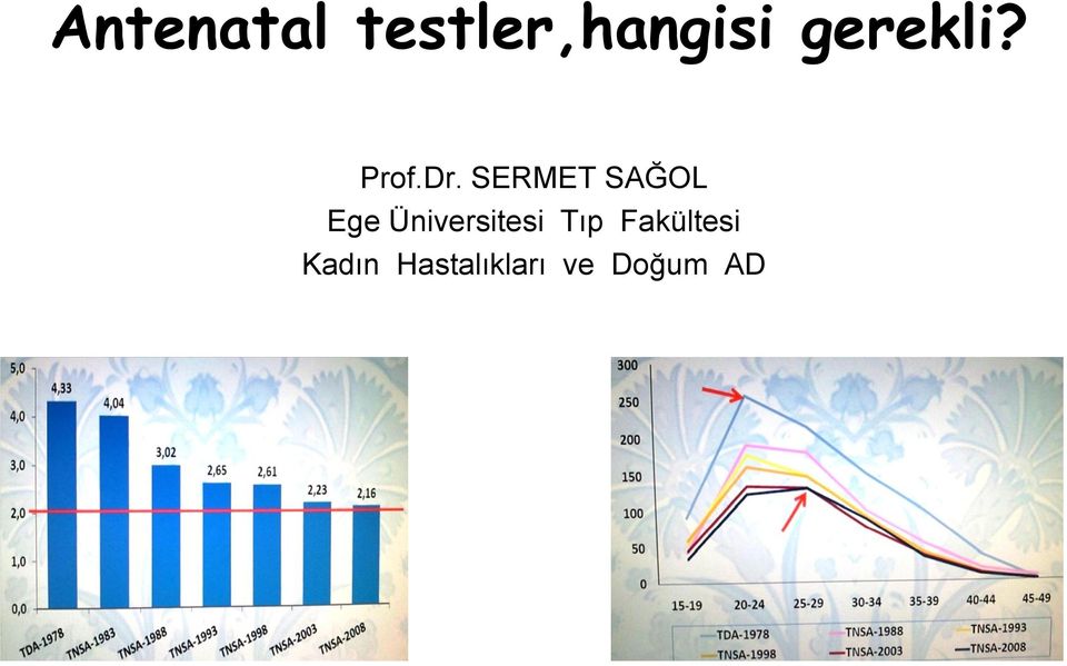 SERMET SAĞOL Ege Üniversitesi